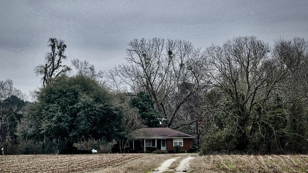 A dirt road driveway leads to a house in Summerton