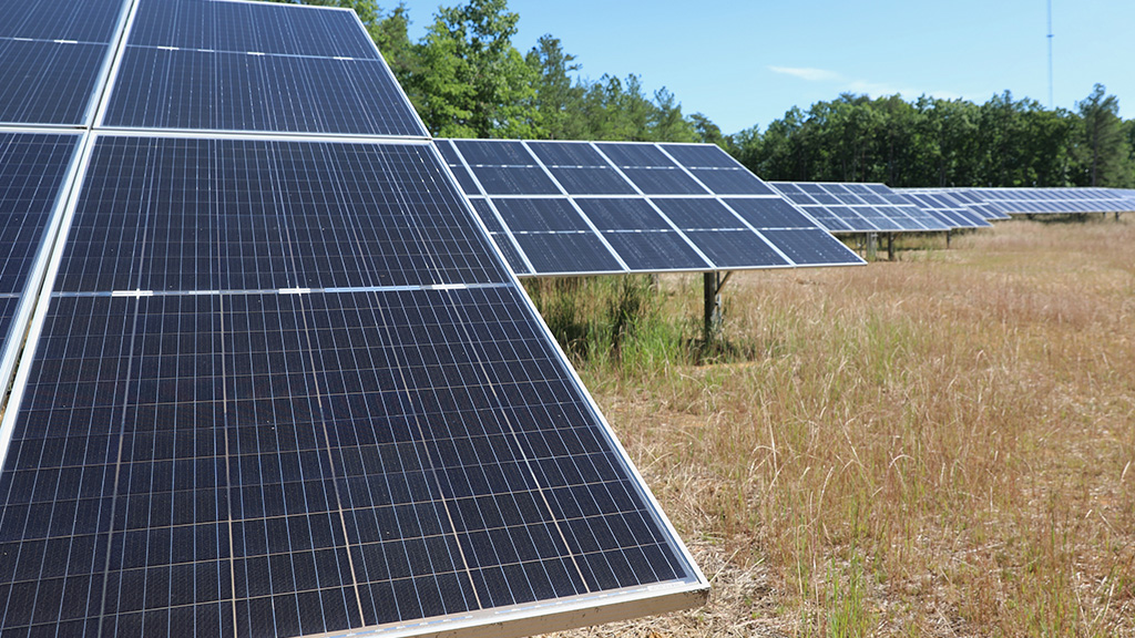 Solar panels dot the landscape in Louisa County, Virginia