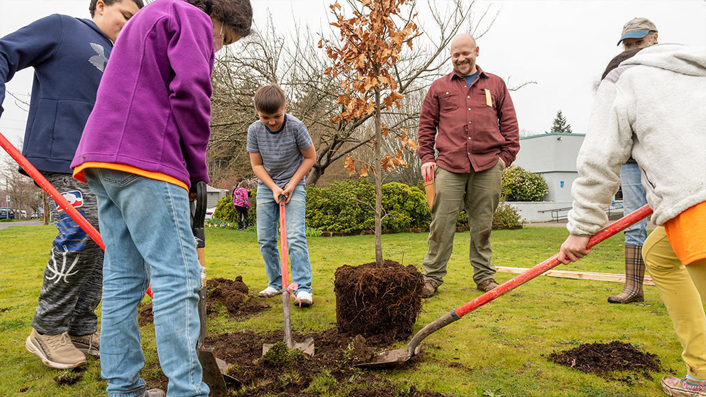 A small group of students plant a young tree on the school campus under the direction of an adult supervisor. 